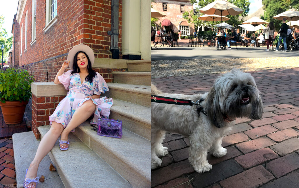 debra jenn wearing a purple summer dress and a smiling shih tzu