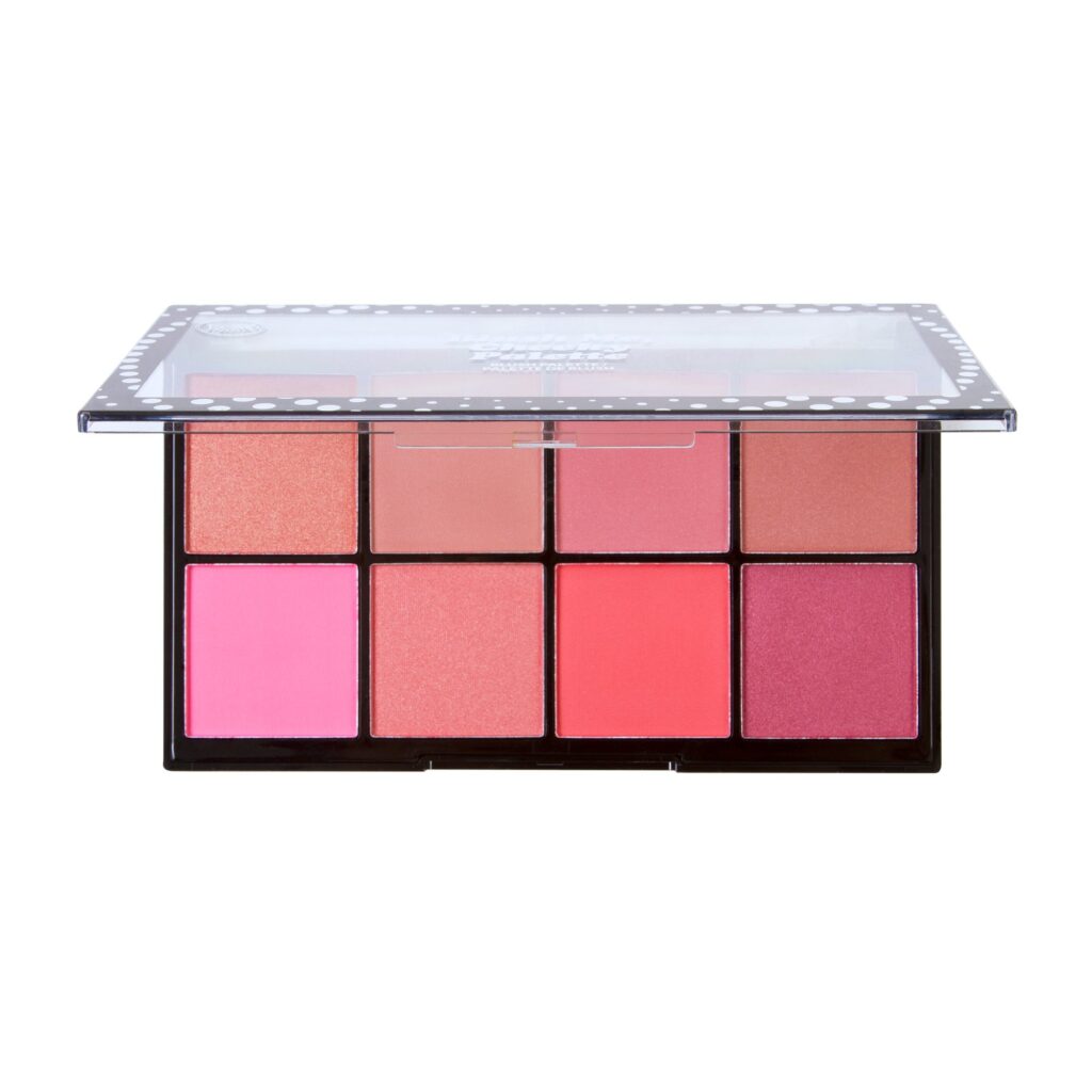 best cheap blush palette
